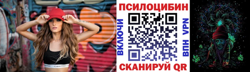 Купить где Сысерть Псилоцибиновые грибы прущие грибы