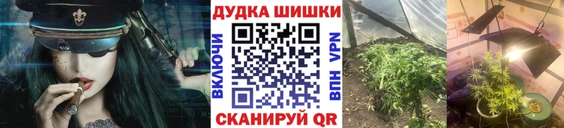 Купить  Сысерть  Бошки марихуана планчик 